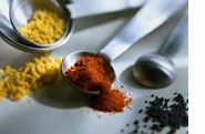 Food Ingredients